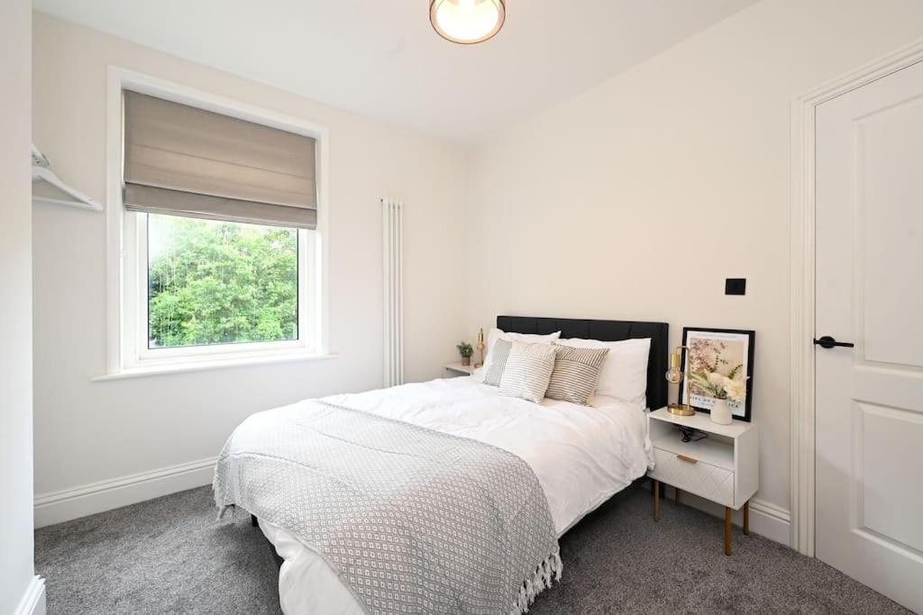 Stunning Spacious Duplex With Garden 141A Hastings Exteriér fotografie